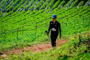 BIB: 9430
                            <button type="button" onclick="openModal(19163715)" class="btn btn-primary btn-sm float-right btn-popup" data-toggle="modal" data-target=".modal-high-quality">
                        <i class="fas fa-shopping-cart"></i> Add to Cart
                    </button>
                                            <button type="button" onclick="isThisMe(19163715, true)" class="btn btn-success btn-sm float-right btn-popup btn-isme hidden" data-toggle="tooltip" data-placement="bottom" title="นี่คือรูปของคุณใช่ไหม คลิกที่นี่เพื่อเอาเข้าอัลบั้ม">
                        <i class="fas fa-plus"></i> Add to album
                    </button>
                    <button type="button" onclick="isThisMe(19163715, false)" class="btn btn-warning btn-sm float-right btn-popup btn-isnotme hidden">
                        <i class="fas fa-ban"></i> Remove from album
                    </button>